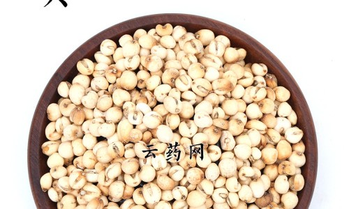 假血的作用与功效网 :分享假血片-假血是用什么做的知识